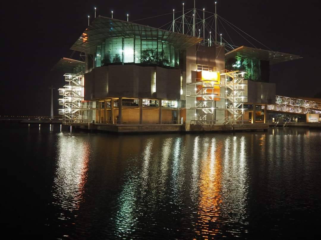 Lugar Oceanario de Lisboa