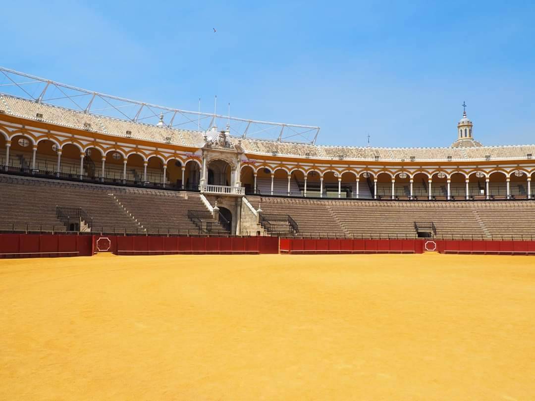 Lugar Museo Taurino Antonio Fuentes Zurita