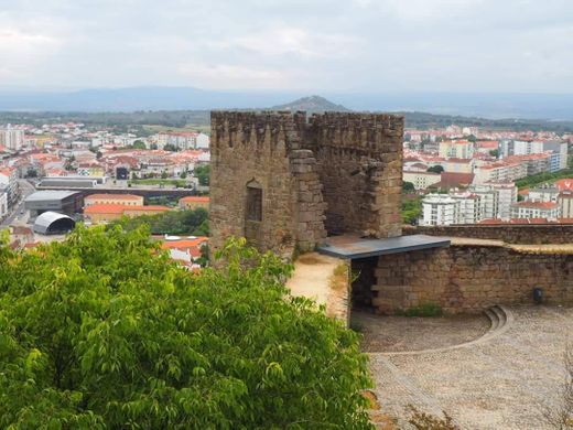 Castelo Branco Portugal