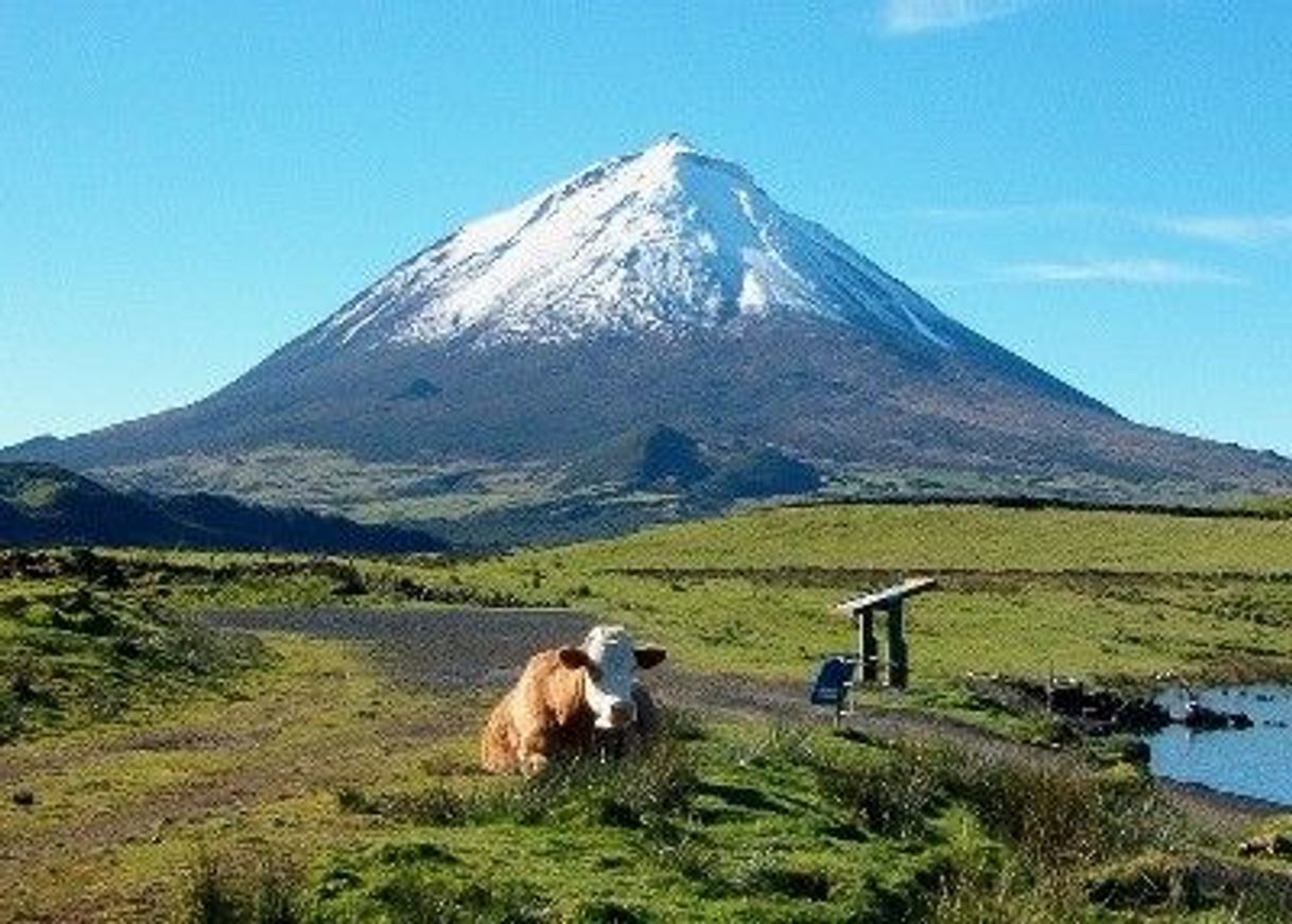 Place Ilha do Pico