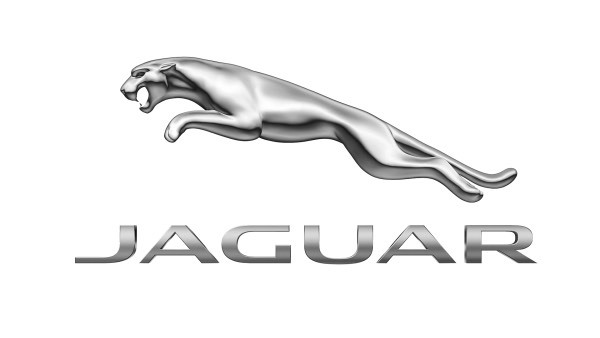 Fashion Jaguar