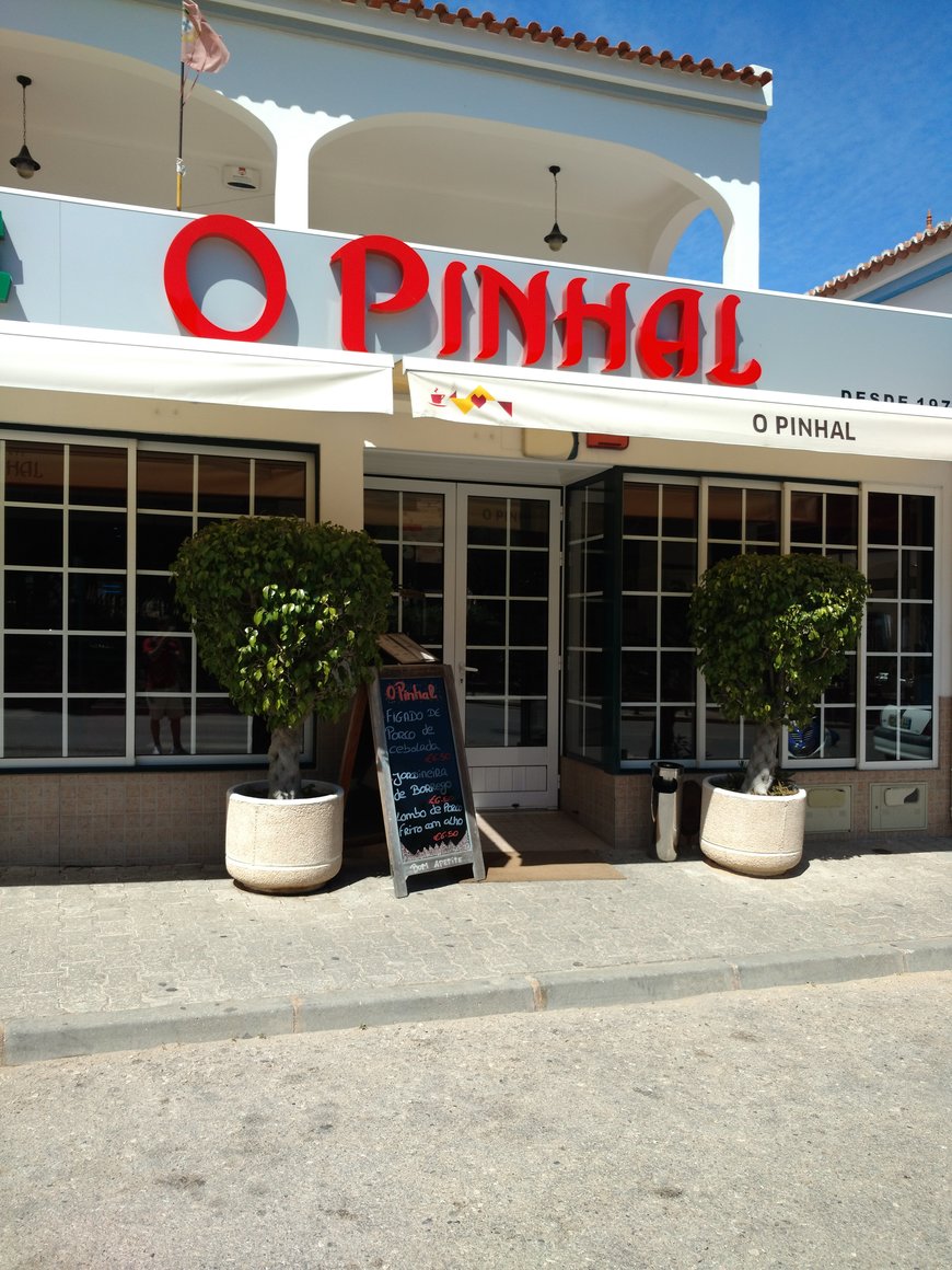 O Pinhal