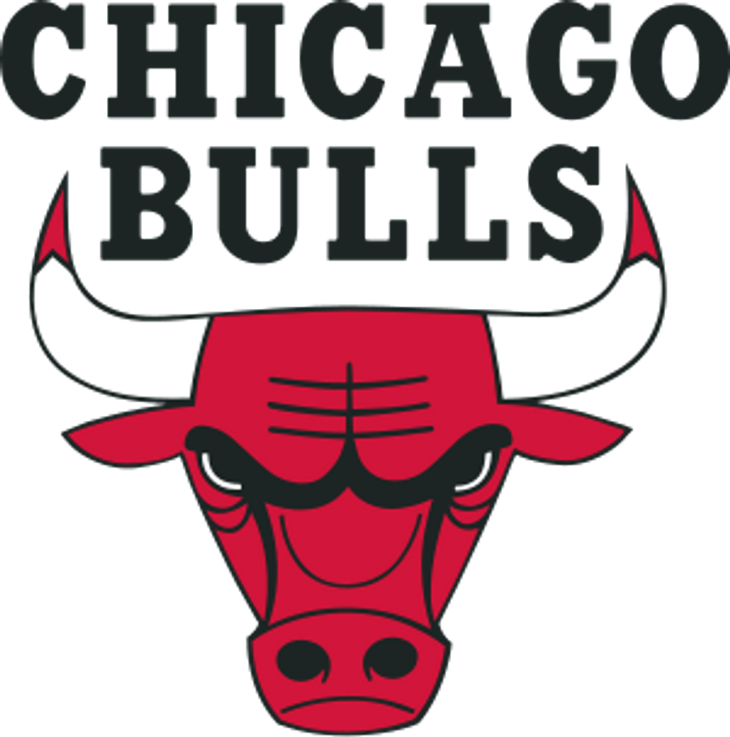 Fashion Chicago Bulls