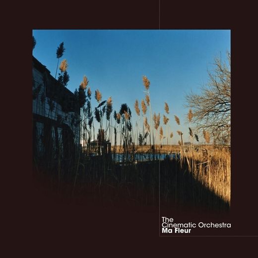 the cinematic orchestra - to build a home