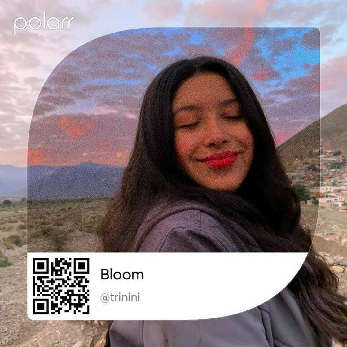 Moda Filtro Bloom