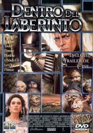 Película Dentro del laberinto