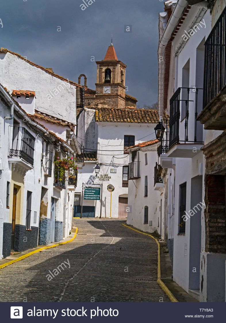 Lugar Castaño del Robledo