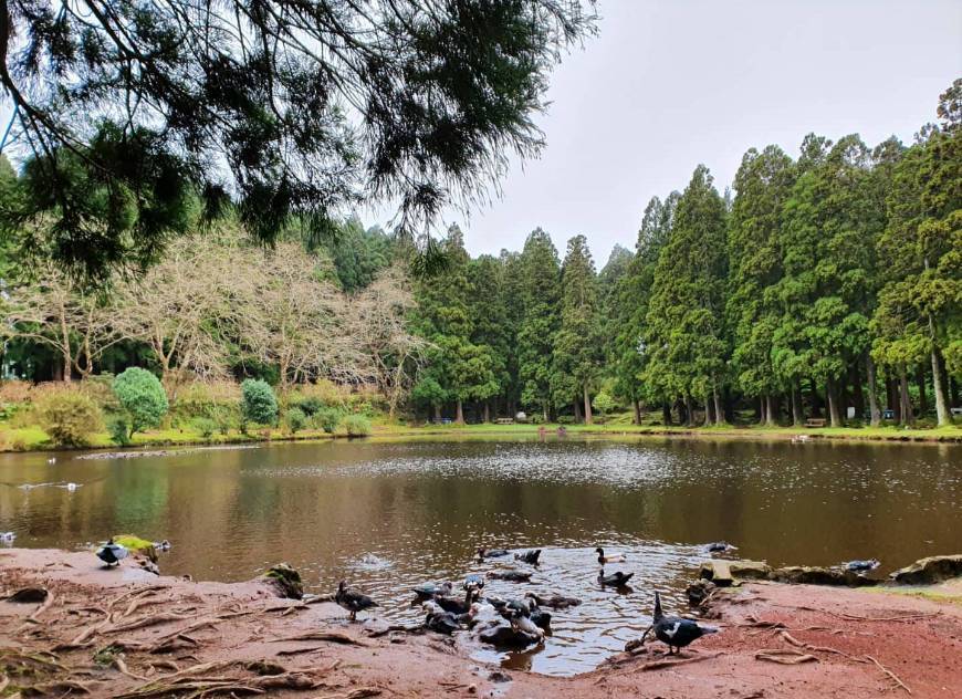 Lugar Lagoa das Patas