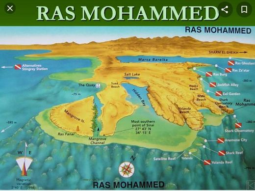 Ras Mohamed Protected Area in Egypt