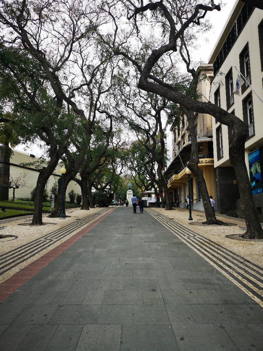 Place Funchal