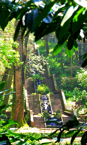 Lugar Mata Nacional do Buçaco