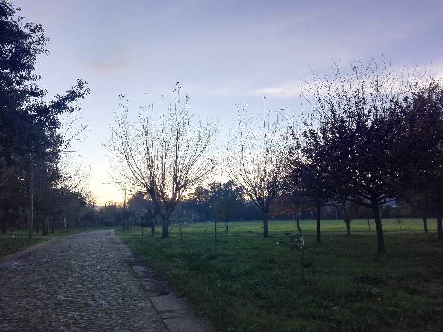 Place Vilar de Mouros