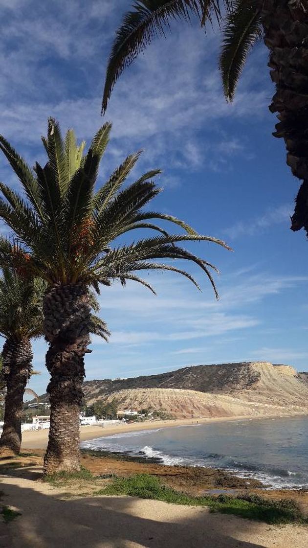 Lugar Praia da Luz