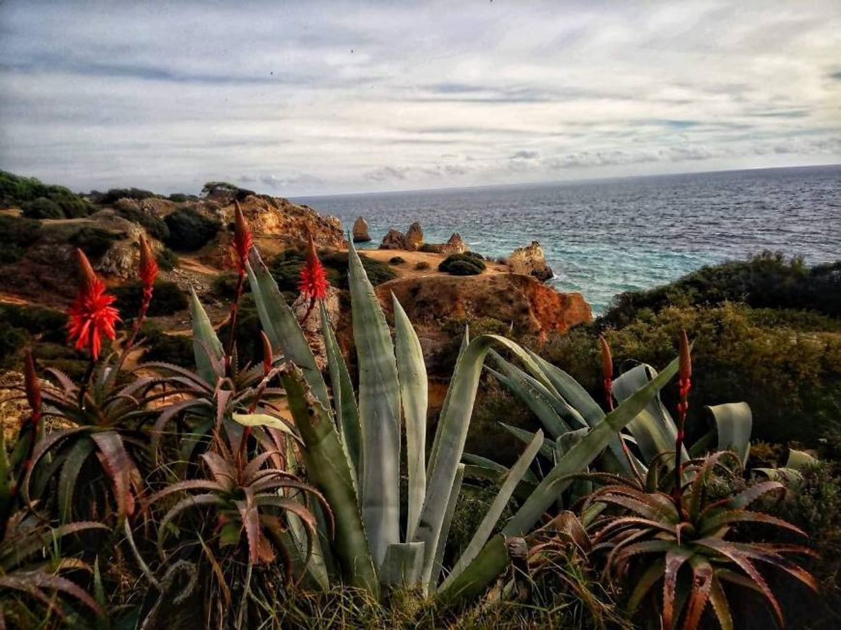 Lugar Prainha