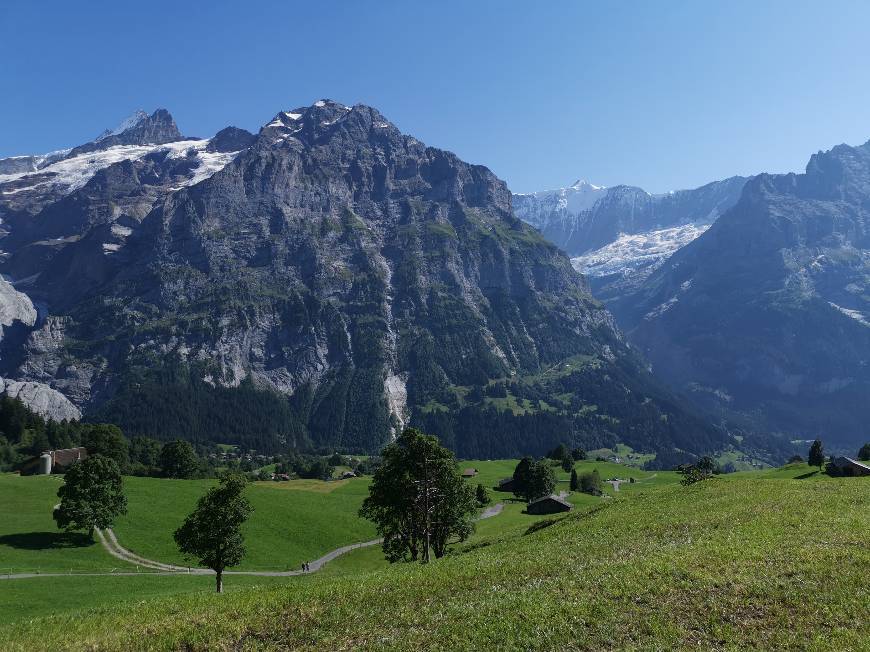 Place Grindelwald