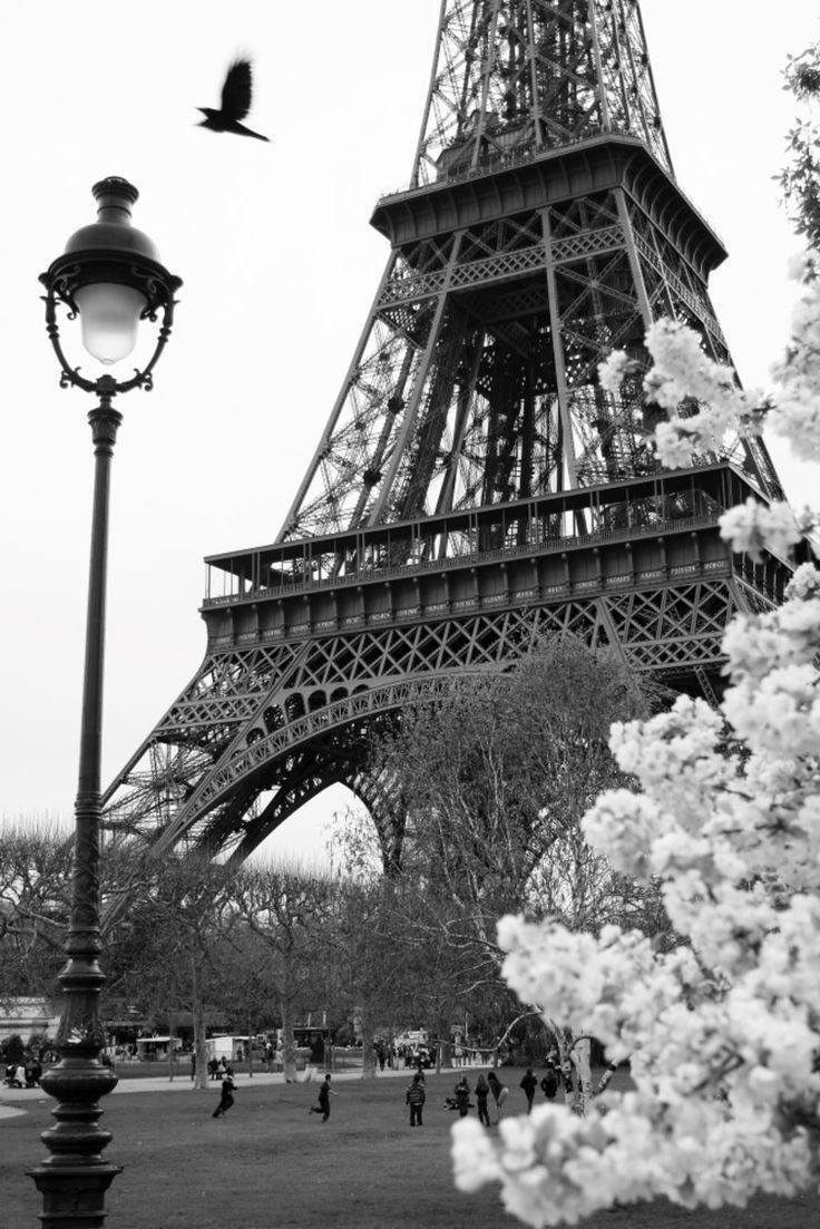 Place Torre Eiffel