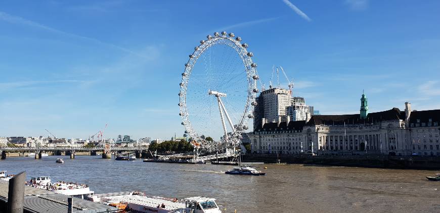 Place London Eye