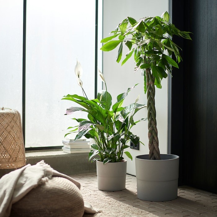 Vaso para plantas interiores