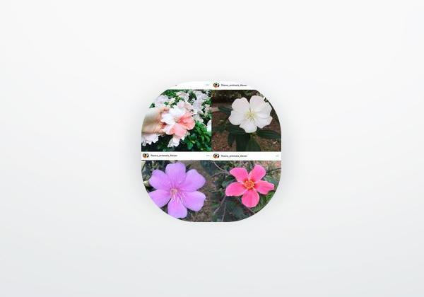 App Flores lunares