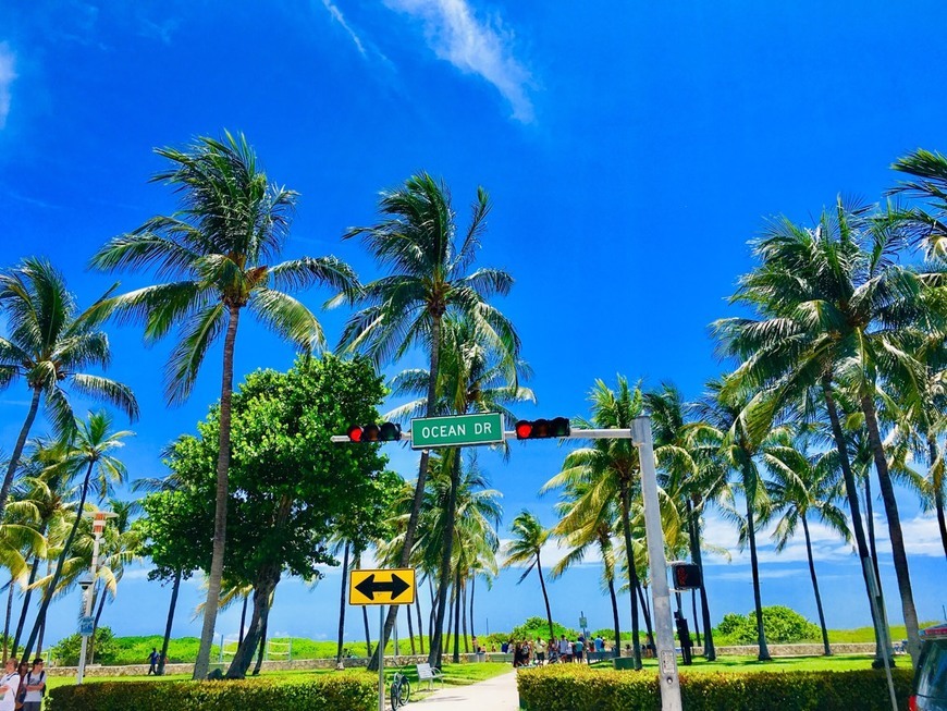 Lugar Miami Beach