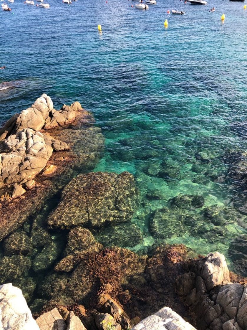 Restaurants Hotel Sant Roc Calella de Palafrugell