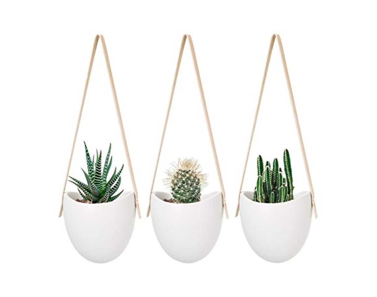 Social Mkouo cerámica Colgante plantador suculento Aire Planta Maceta decoración de la Pared