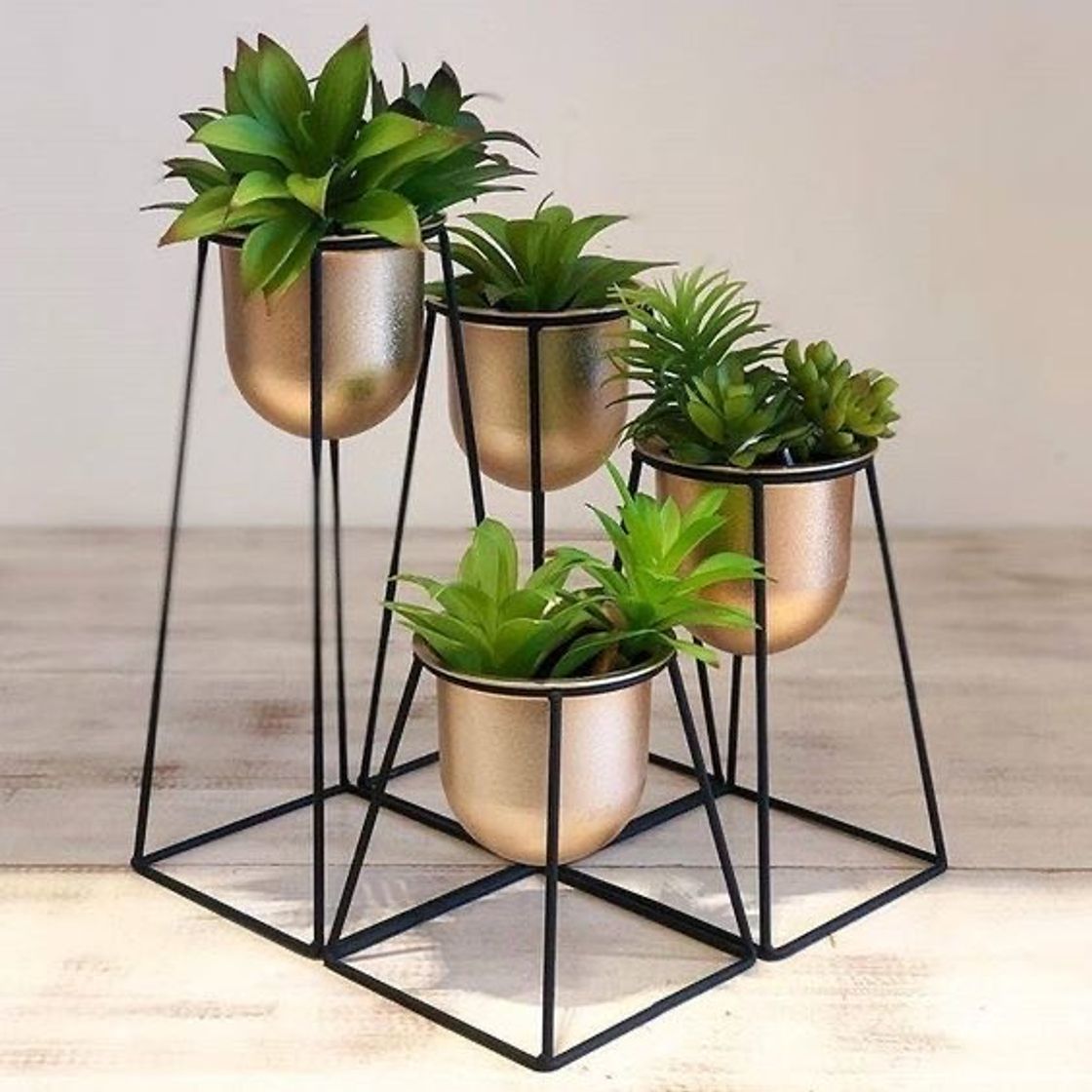 Social Suporte para plantas