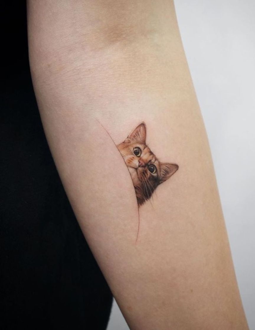 Moda Tattoo Gatinho