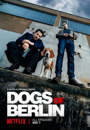 Cães de Berlim