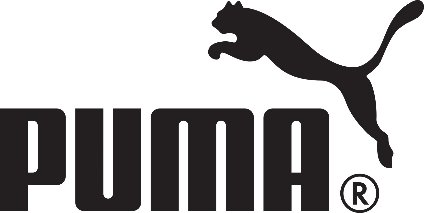 Fashion Puma