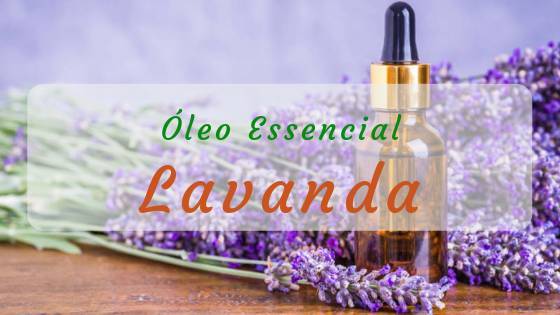 Lavanda - Cuida-te Bem!
