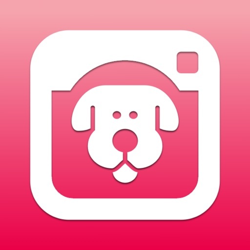 App DogCam - Dog Selfie Camera