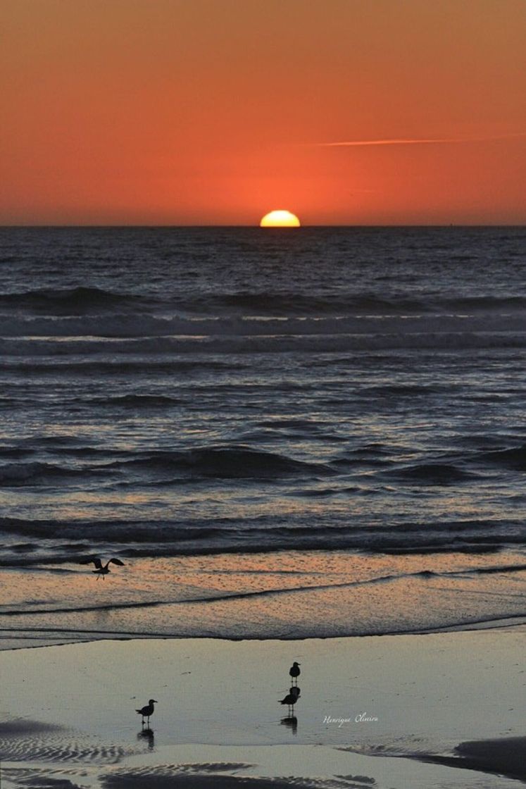 Praia do Furadouro - Ovar