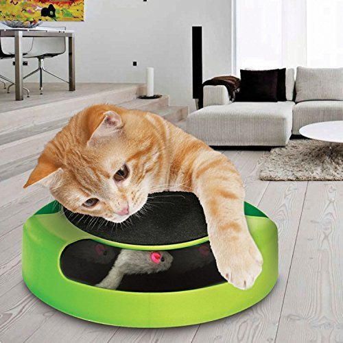 Juguete Tech Traders ® para gato que consisten en atrapar el ratón