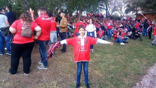 Estádio Sport Lisboa e Benfica