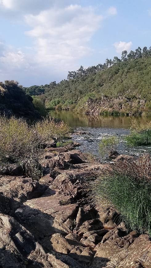 Lugar Ribeirinha Do Sado