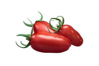 Products 
TOMATE SAN MARZANO ECOLOGICO 150 Semillas seeds