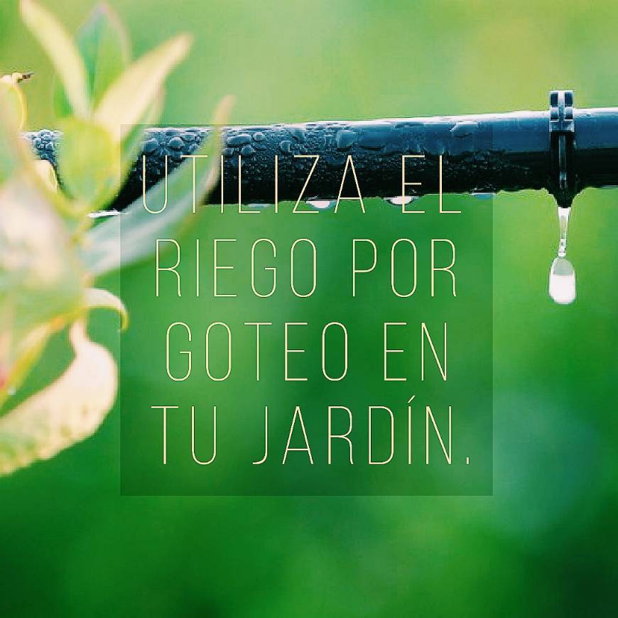 Social 17