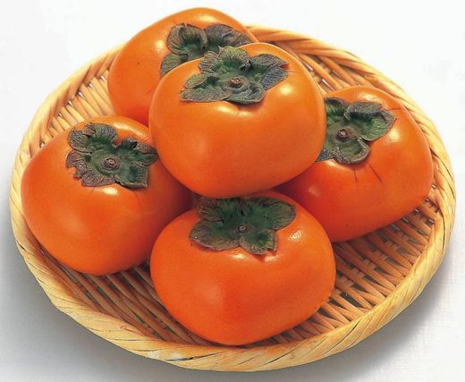 CAQUI diospyros kaki PERSIMMON 10 semillas seeds ecologico 