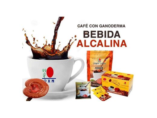 Cafe Organico Ecologico Bio Con Extracto De Hongo Ganoderma 