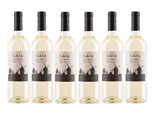 Producto GAIA 2017