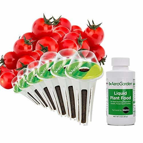 AeroGarden - Kit cápsulas semillas de tomate cherry autóctono