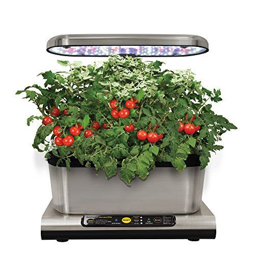 Places Miracle-Gro AeroGarden Harvest Elite con Kit de cápsulas de semillas de hierbas