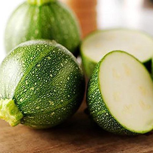 Place Lonlier Semillas Calabaza Pequeño 20/30/50 pcs Semillas Verduras para Jardín Huerto