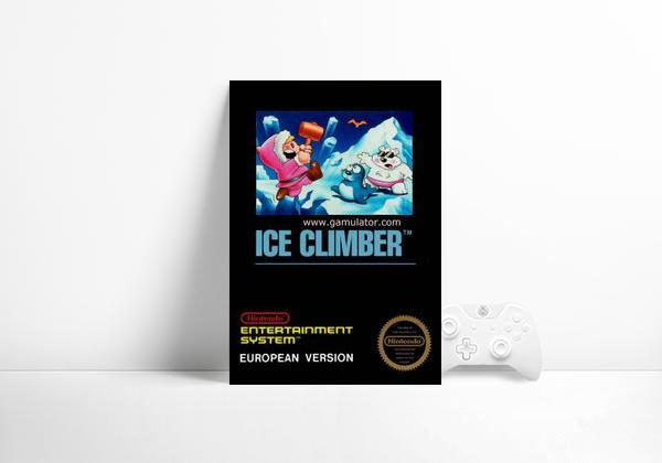 Videogame Ice Climber