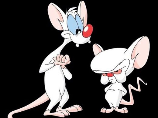 Pinky and the Brain