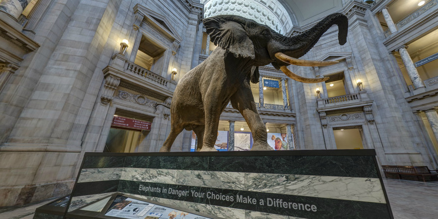 Places Virtual Tour | Smithsonian National Museum of Natural History