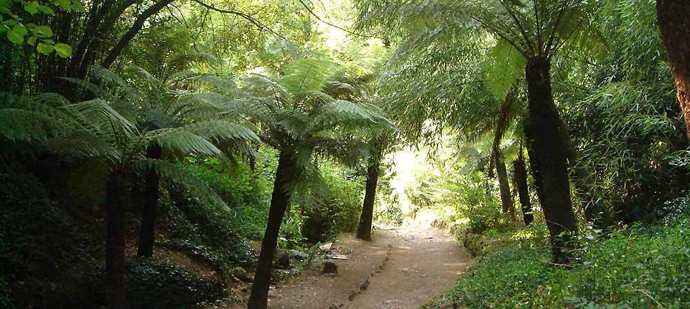 Lugar Serra do Buçaco