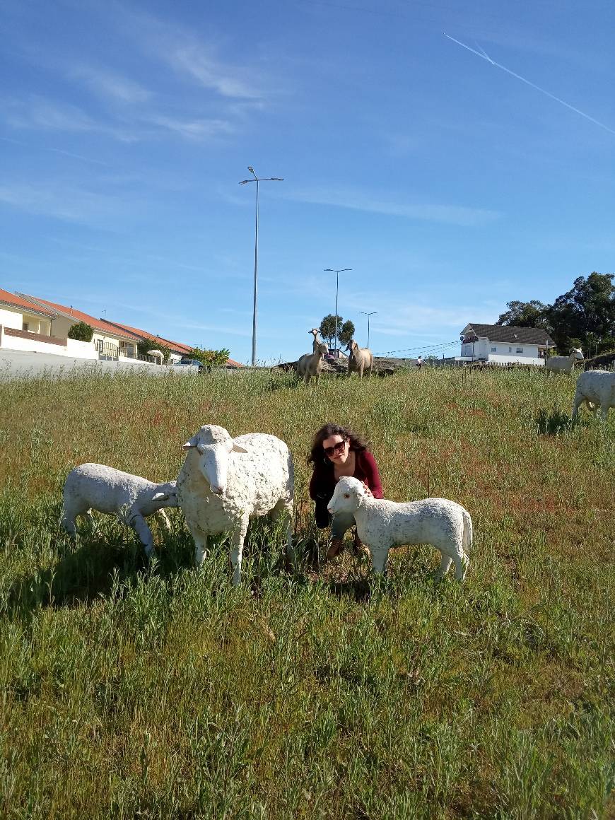 Place Belmonte