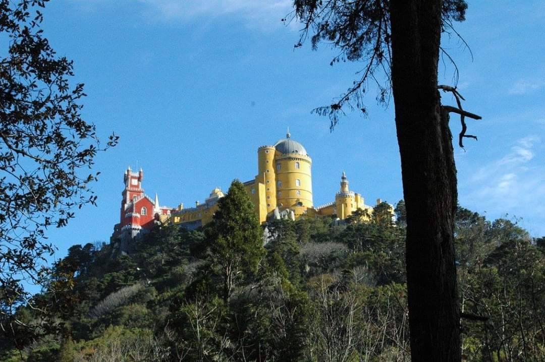 Place Palacio da Pena